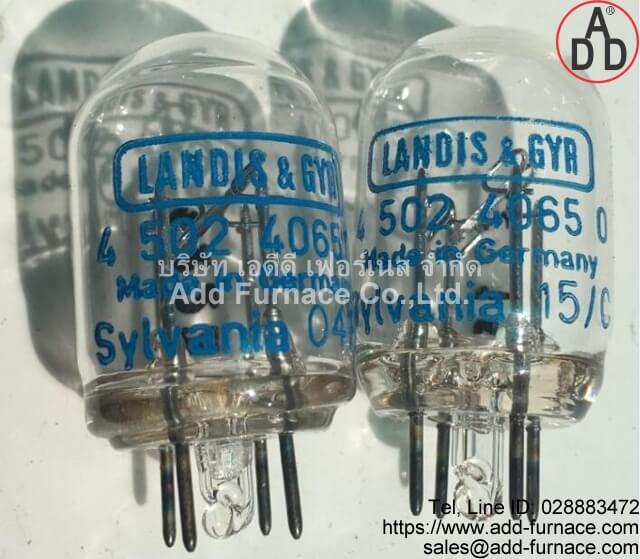 LANDIS & GYR 4 502 4065 0 (3)